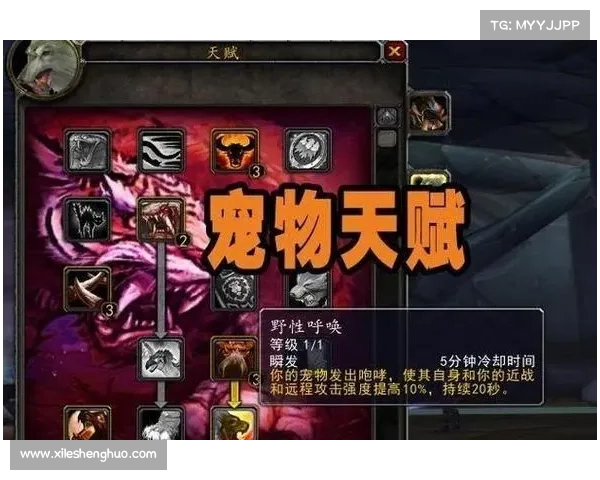 魔兽世界怀旧服:猎人开荒攻击宝宝,探索宠物战斗新境界 魔兽世界怀旧服:猎人开荒攻击宝宝,探索宠物战斗新境界